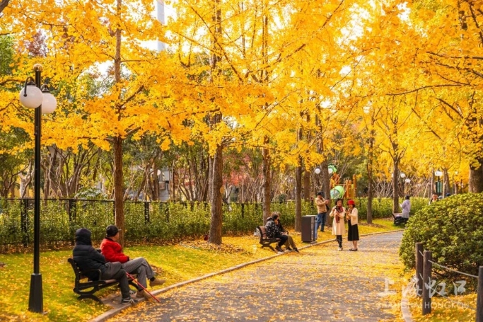 l_CB20260121134906712017 l_CB20260121134906712017