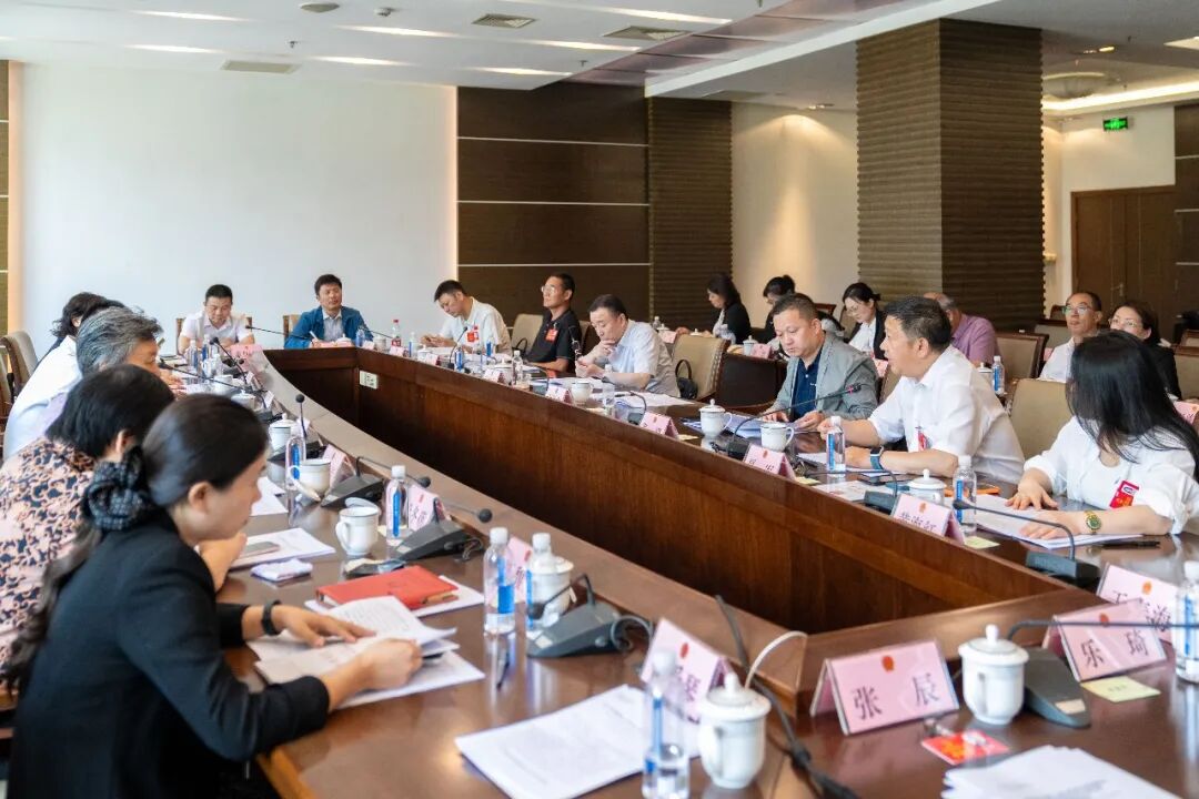 共话发展实效、共商奋进举措，区人大代表热议区政府上半年工作报告